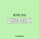 신각길1 이미지