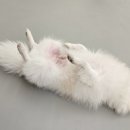 옹기종기 이미지