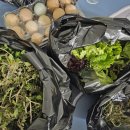 장터팥죽 | 경기광주 남한산성 오전리 농산물 직거래장터/산성팥죽 후기