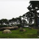 뿌리광장 이미지