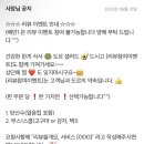 도르샐러드