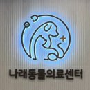 25시동물의료센터 | [청주] 토이푸들 여아 중성화 수술 리얼 후기! 청주나래동물의료센터