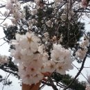 태평반점 - 창원시 진해구 백구로6번길 4 | 태평반점