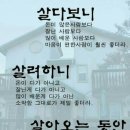 카톡방 이야기 (2월7일~12일) 동창들의 사는 이야기 이미지