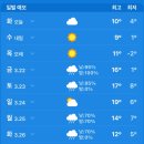 정남우체국 | Wedding week🤍