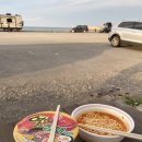 이스트코스트 서프 네이버블로그