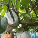 현성한우 이미지