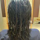 도연헤어 - 고양시 일산동구 | 도연헤어