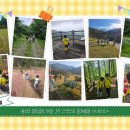 청룡병설유치원 이미지