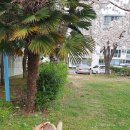 소기왓민박 이미지