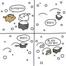 순진한 강아지 이미지