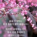 지인한의원 이미지