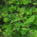 (주)비타민나무 이미지