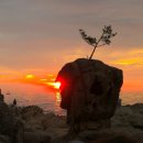 낙산계곡펜션 | 양양 핫풀 여행 | 바다 명소 가볼만한곳 아름다운 낙산사 바다뷰 절 (홍련암,의상대) 법수치계곡