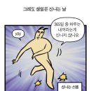 햅삐 이미지