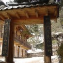 금선사 - 종로구 | 금선사