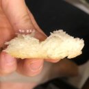 강남식빵 네이버블로그