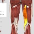 필독) 대회다녀와서 햄스트링,종아릭,근육 부상... 회복시켜드립니다 이미지