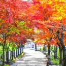 입곡군립공원 이미지