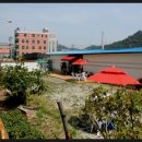 양덕동492 이미지