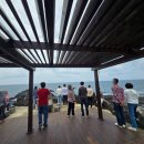 제주 돌고래 | 제주 영락리 방파제 돌고래 투어 후기