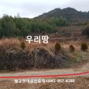 벌교IC - 1155 | 벌교IC