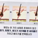 브라운아이의원 이미지