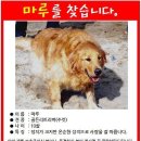 화성사랑마루
