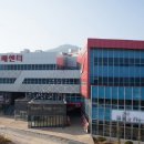 거풍 디지털타임스