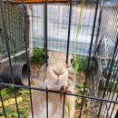 별마을농장 이미지