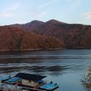 강촌명가짬뽕 이미지