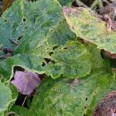 세상밖으로 이미지