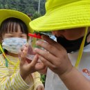 다경어린이집 이미지