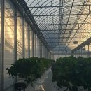 마동농장 이미지