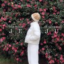 남원읍-84 | 아이랑 제주 5박 6일 여행코스 숙소 가볼만한 곳 카페 맛집 모음.zip