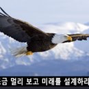 고려행정사 이미지
