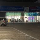 멍이 냥이 살롱 | 올해 마지막 반려동물 행사 드림펫쇼! 행사장에 찡이가 가봤다!!