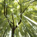 이팝농장 이미지