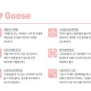 신월이불
