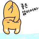 베네키아호텔