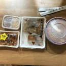 소고산제일루Express
