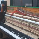 월산중학교 이미지