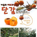만점농원 이미지