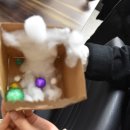 고성고등학교 이미지