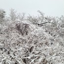 전국 강한 비바람, 오후엔 중부·전북 첫눈 가능성 이미지