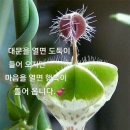 세월은 사람을 기다리지 않는대요. 이미지