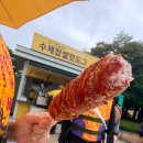 빅스타푸드 | 7월 중순 주말 비오는 날 오션월드 눈치게임 성공 및 리얼 후기