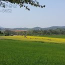 축제공인중개사사무소 이미지