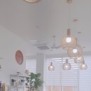 수1133