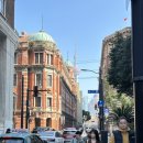 대호갈비 | 상하이 대호춘 (大壶春) 셩지엔바오 미슐랭 빕구르망 맛집